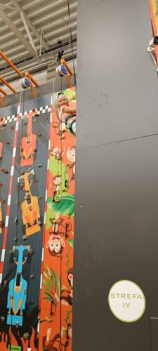 Jump Arena Midorino Judo 1 (71)