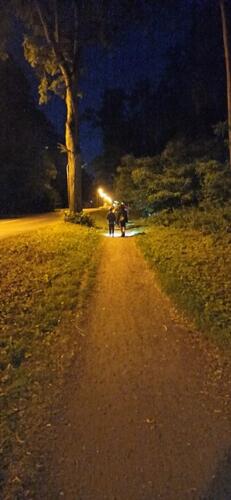 Letni Obóz Judo 2021 (20)