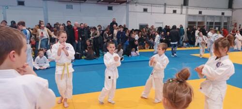 MIstrzostwa Wielkopolski 2025 Midorino Judo 0112