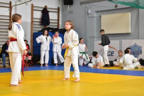 Mikołajkowy Turniej Judo Poznań 2022 Midorino (11)
