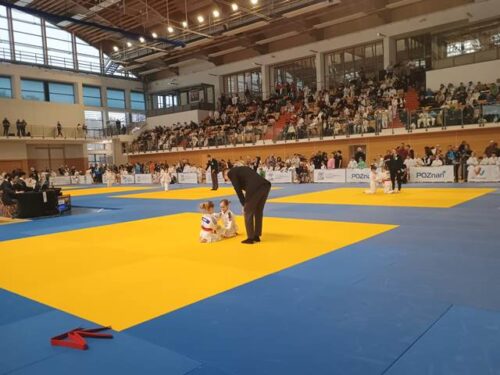 Mistrzostwa Wielkopolski 07.02.2026 Midorino Judo23