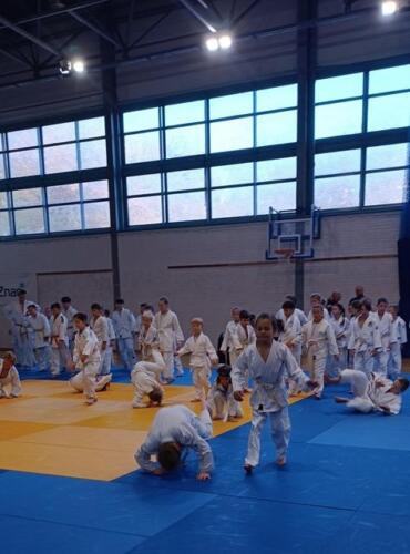 Jesienny-Turniej-Judo-27.10.202713