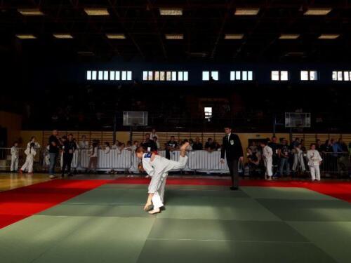 Zawody-Judo